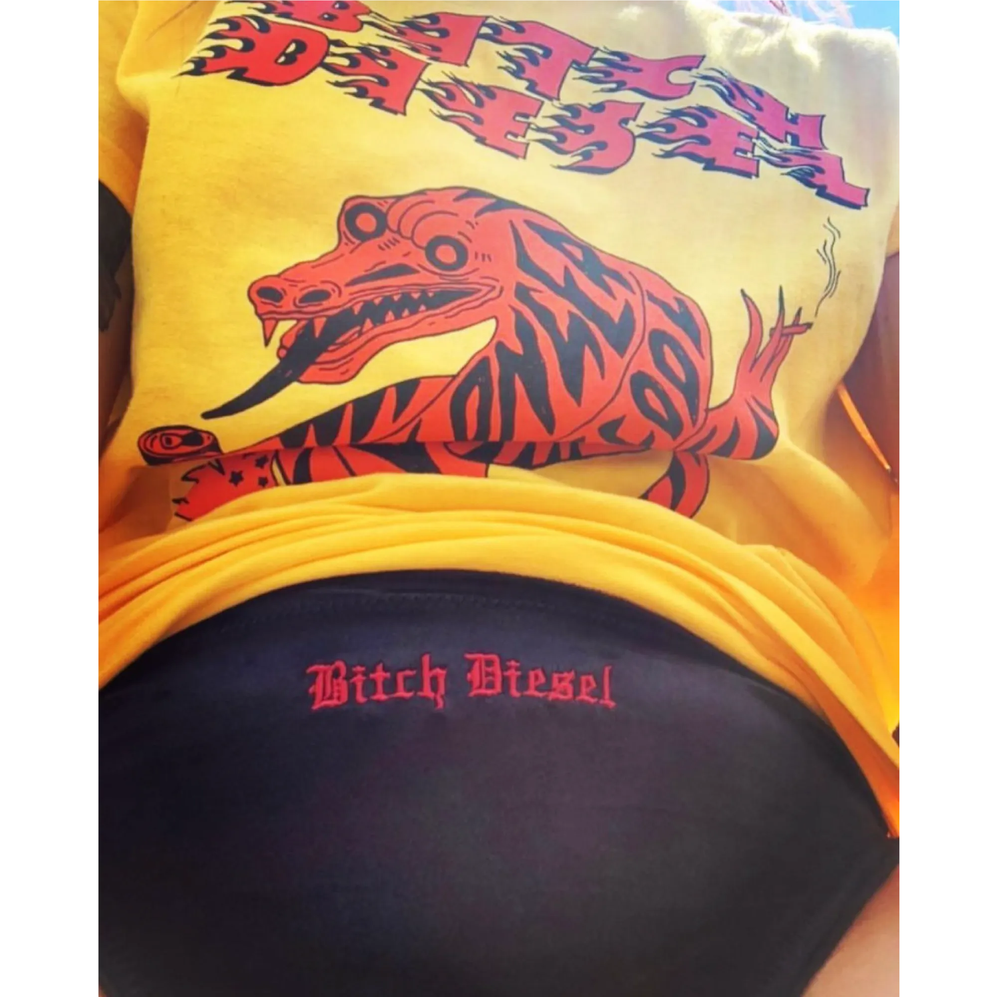 Bitch Diesel / Embroidered Undies