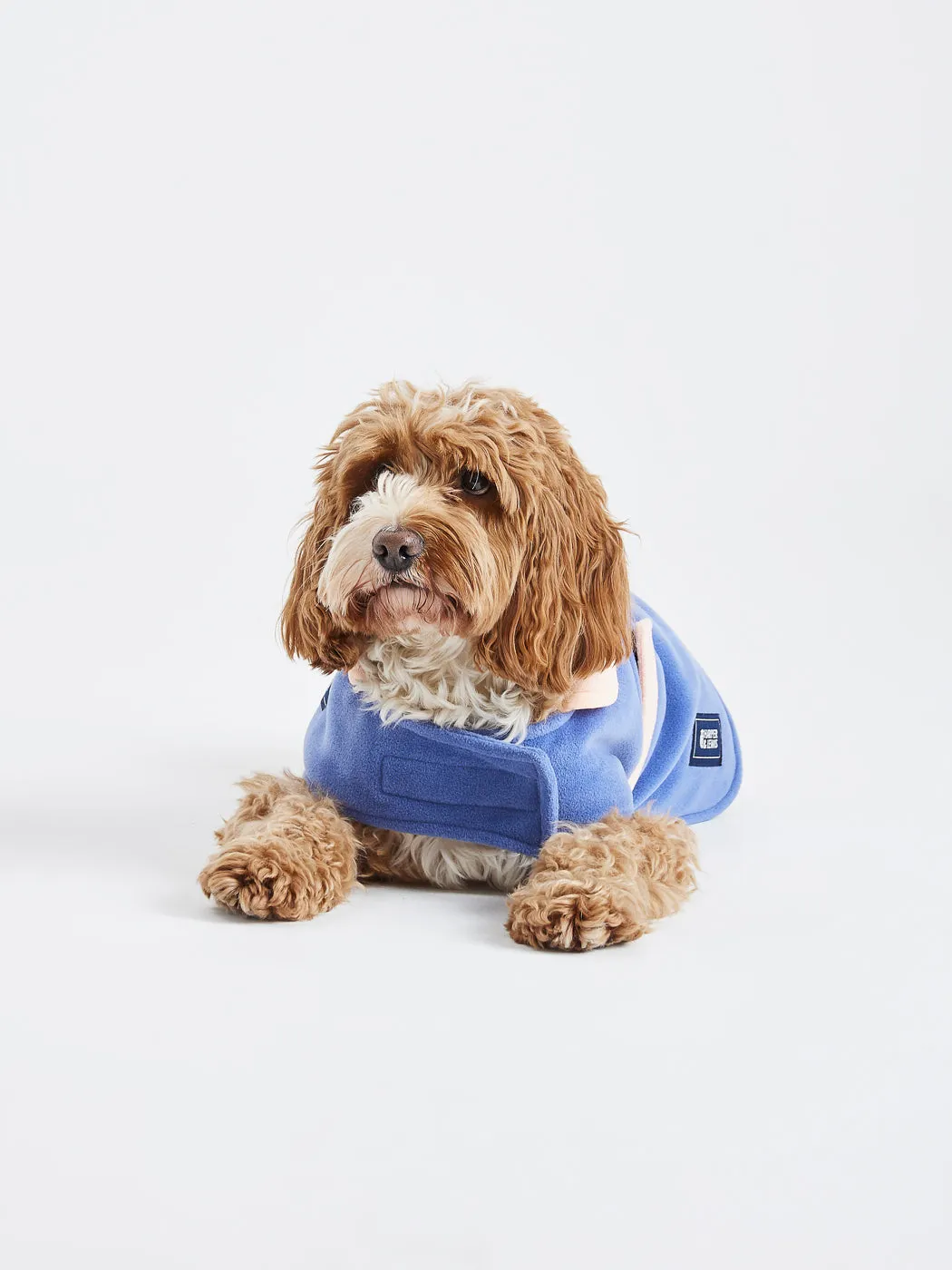 Robin Dogs Fleece